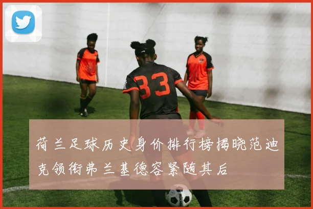 荷兰足球历史身价排行榜揭晓范迪克领衔弗兰基德容紧随其后
